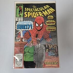 The Spectacular Spider-Man Comic Book
